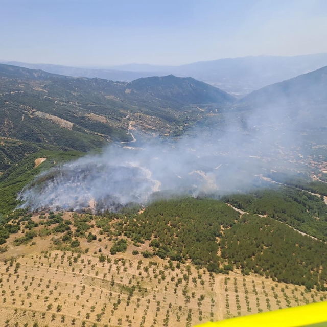 Aydın'da orman yangını (2)