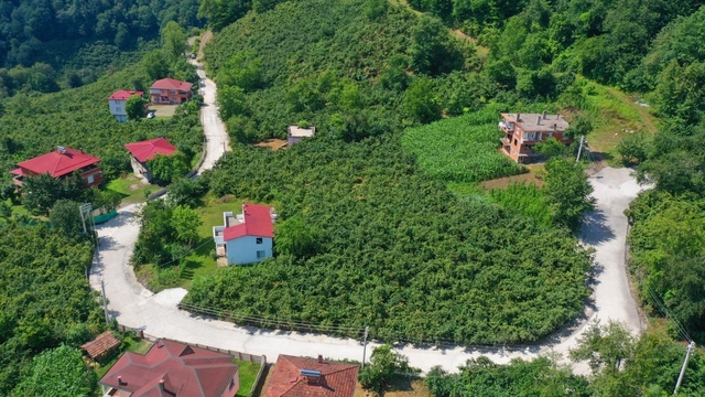 Çaybaşı'nda grup yolu betonla buluşturuluyor