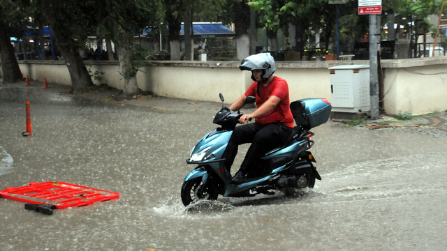 Galeri