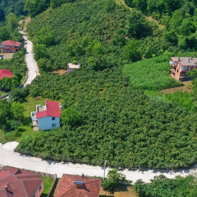 Çaybaşı'nda grup yolu betonla buluşturuluyor