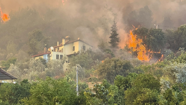 Muğla'da orman yangını (3)