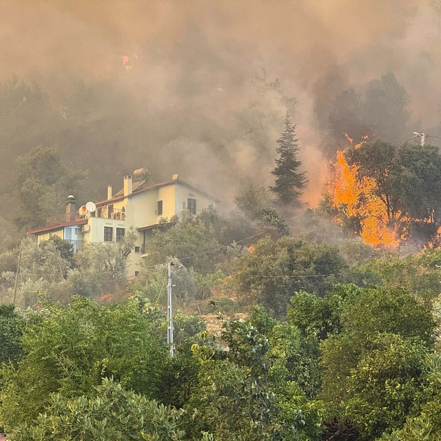 Muğla'da orman yangını (3)