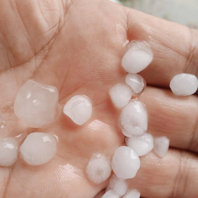 Edirne'de kuvvetli sağanak etkili oldu (2)