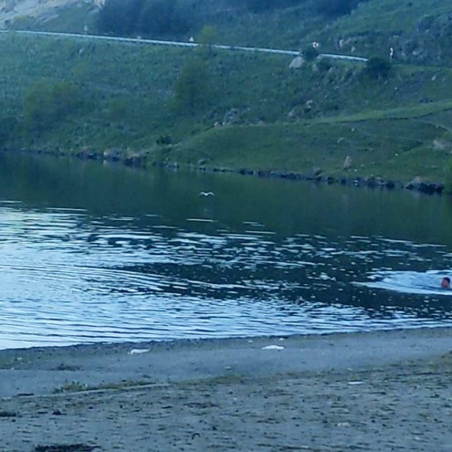 Sıcaktan bunalan gençler Çıldır Gölü'nde serinliyor
