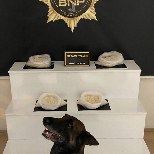 Balıkesir'de uyuşturucu operasyonu
Narkotik köpeği 'Dangal' dan bingo
