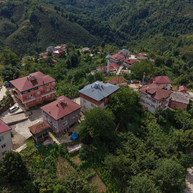 Karadeniz fıkrası gibi mahalle: Herkesin soyadı aynı
Ordu'nun Yazlık Mahall...