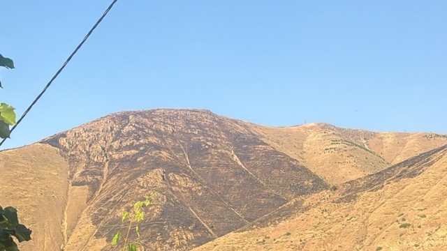 Elazığ'da dağlık alanda çıkan yangın söndürüldü