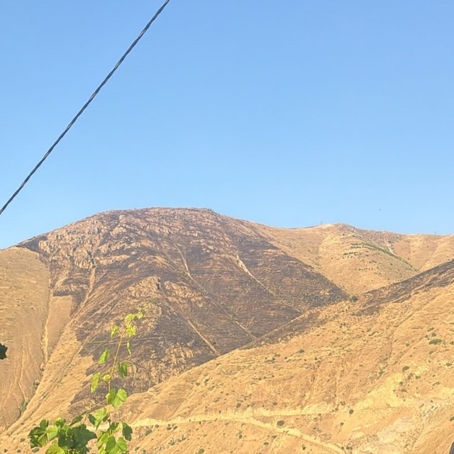 Elazığ'da dağlık alanda çıkan yangın söndürüldü