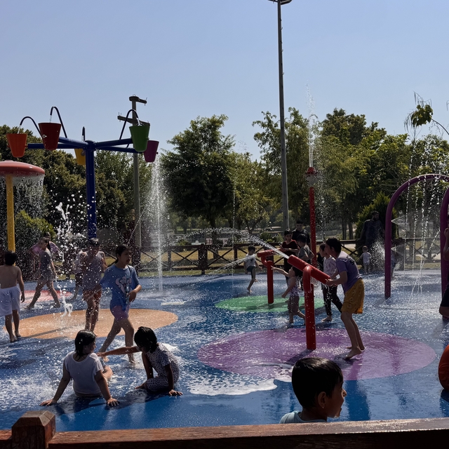 Kavurucu sıcakta çocuklar su oyun parkına akın etti
"Bu Adana sıcağında iyi...