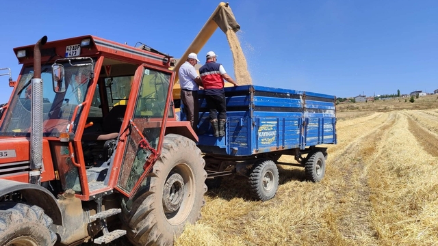 Kütahya'da yerli ve milli arpa çeşitlerinin hasadı yapıldı