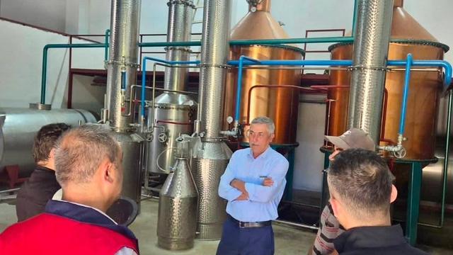 Tıbbi aromatik bitki üretimi için saha çalışmaları sürüyor