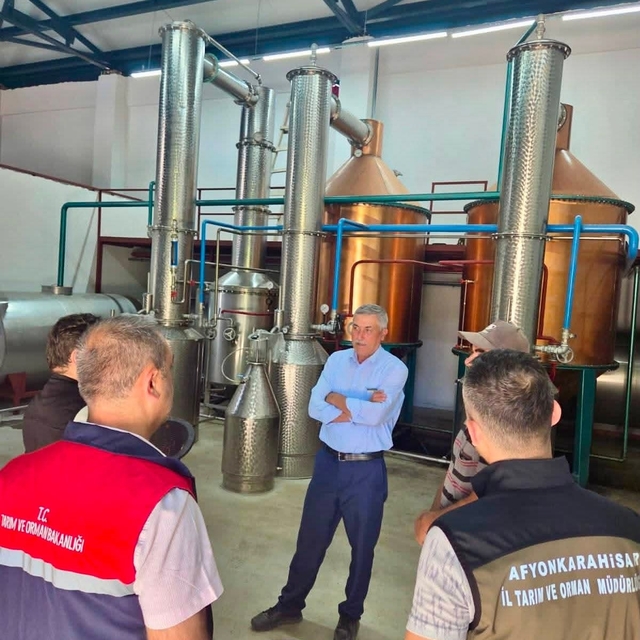 Tıbbi aromatik bitki üretimi için saha çalışmaları sürüyor