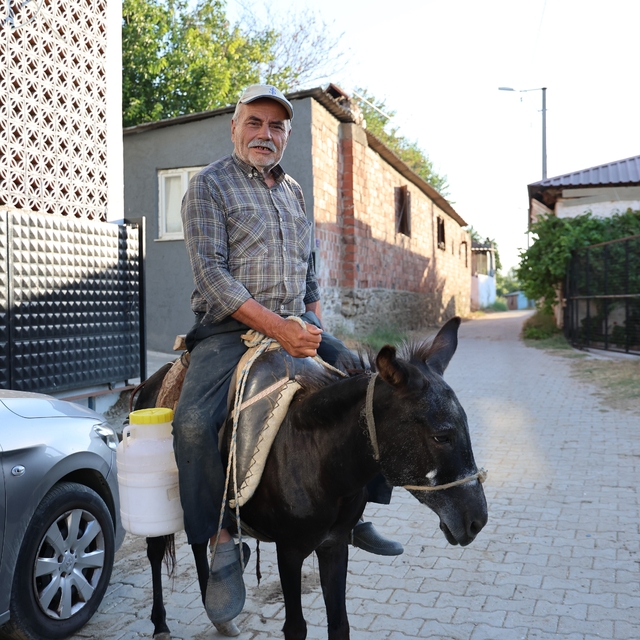 Ayhan amca yokluktan değil, sürücü belgesi olmadığından eşeği ile servis ya...