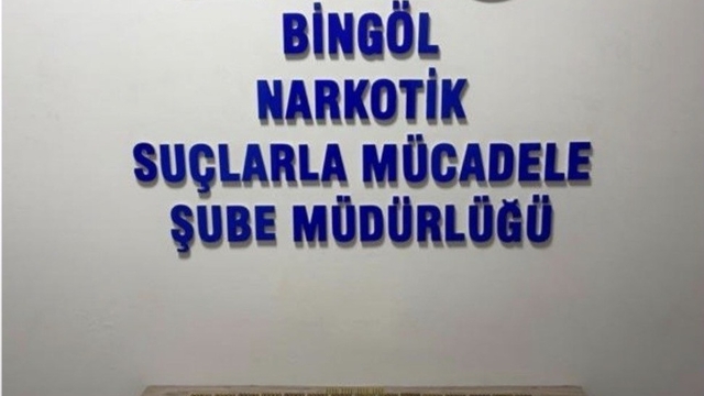 Bingöl'de 600 fişek ele geçirildi: 1 tutuklama
