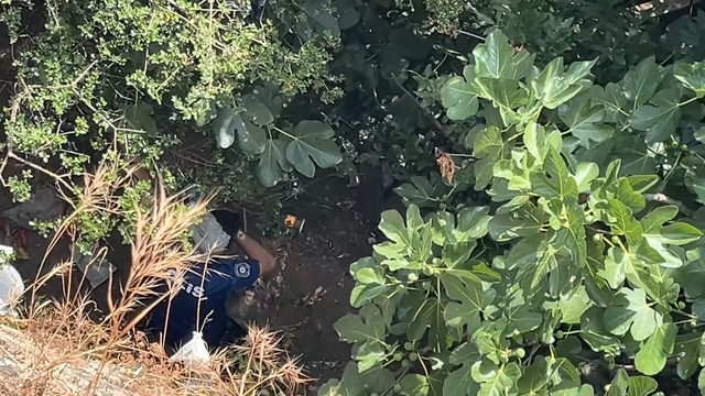 10 metreden düşen kadın, yardıma gelen polislerden kaçtı
Yaralı kadın 2 saat süren arama çalışmaları sonucu bulundu