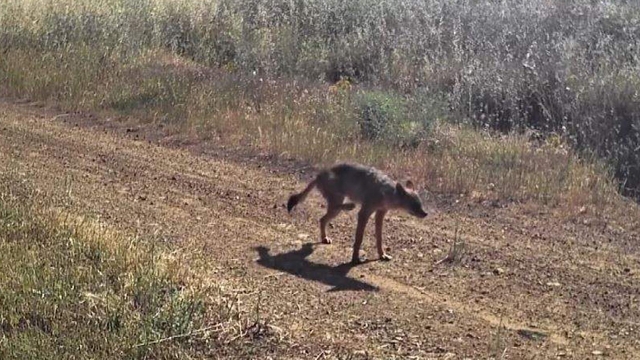 Galeri