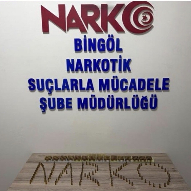 Bingöl'de 600 fişek ele geçirildi: 1 tutuklama