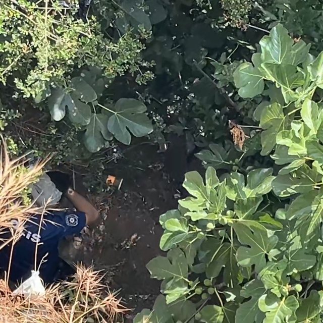 10 metreden düşen kadın, yardıma gelen polislerden kaçtı
Yaralı kadın 2 saa...