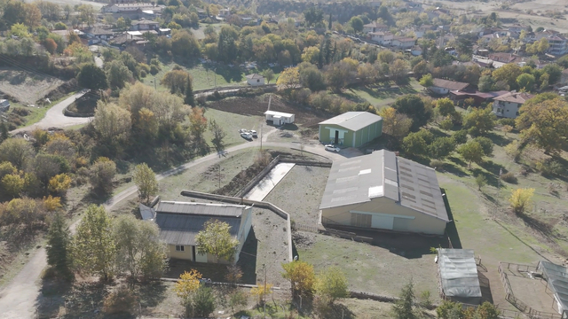 Galeri