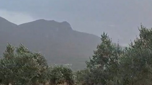 Galeri