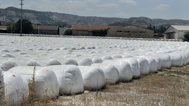 Burdur Şeker Fabrikası'na 'kötü koku' cezası
Şeker Fabrikası çevresindeki vatandaşlar kötü koku ve sinekten dertli