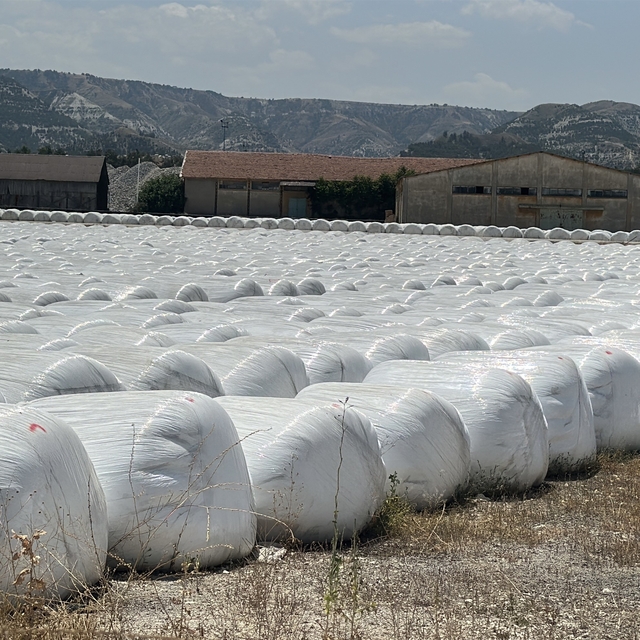Burdur Şeker Fabrikası'na 'kötü koku' cezası
Şeker Fabrikası çevresindeki v...