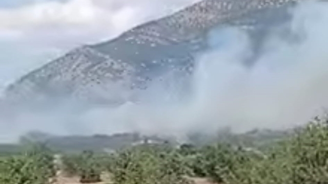 Acıpayam'daki orman yangını kontrol altına alındı