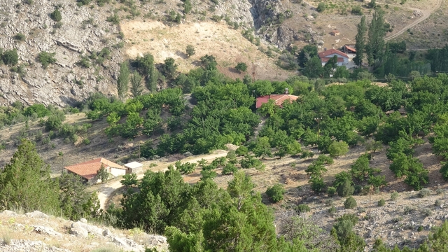 Kayıp kadının cenazesi için  bin 600 rakımlı dağda arama sürüyor
Arama çalışmaları Tohma kanyonuna kadar uzandı