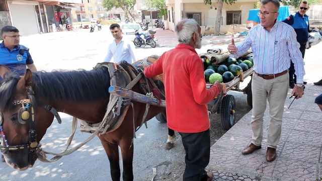 Mersin'de bitkin düşen at yeni yuvasına kavuştu