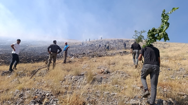 Malatya'da anız yangını