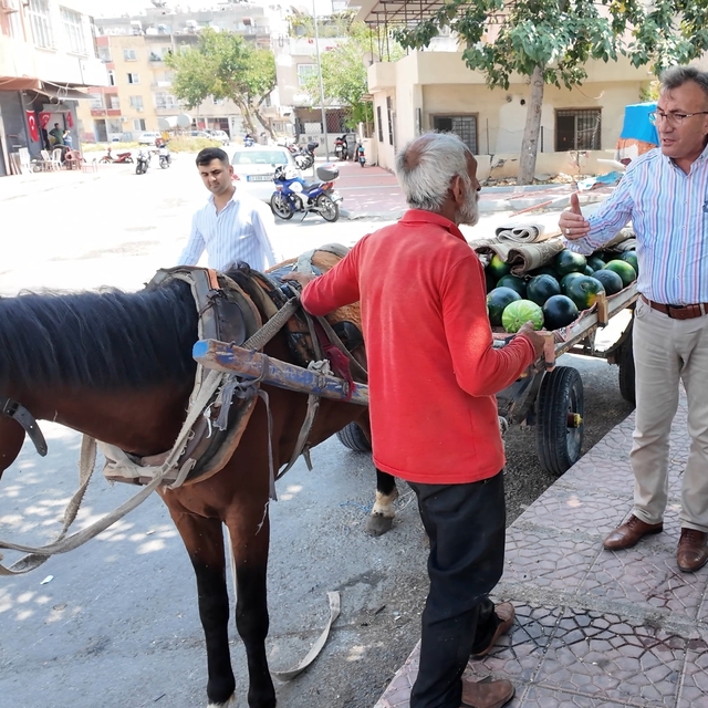 Mersin'de bitkin düşen at yeni yuvasına kavuştu