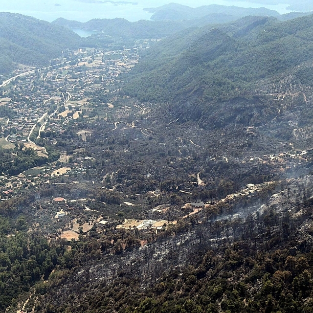 Muğla'daki orman yangını kontrol altına alındı; 350 hektar alan zarar gördü...