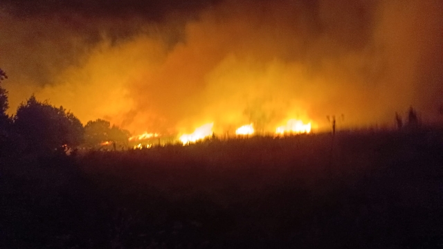 Diyarbakır'da örtü yangını; müdahale sürüyor