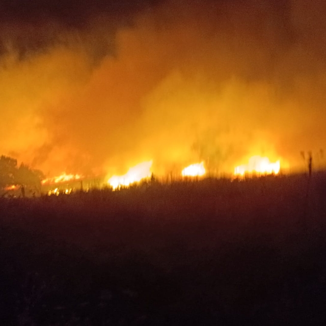 Diyarbakır'da örtü yangını; müdahale sürüyor