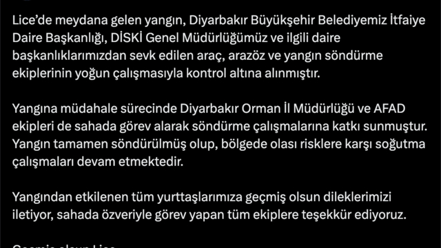Diyarbakır'da örtü yangını; kontrol altına alındı (2)