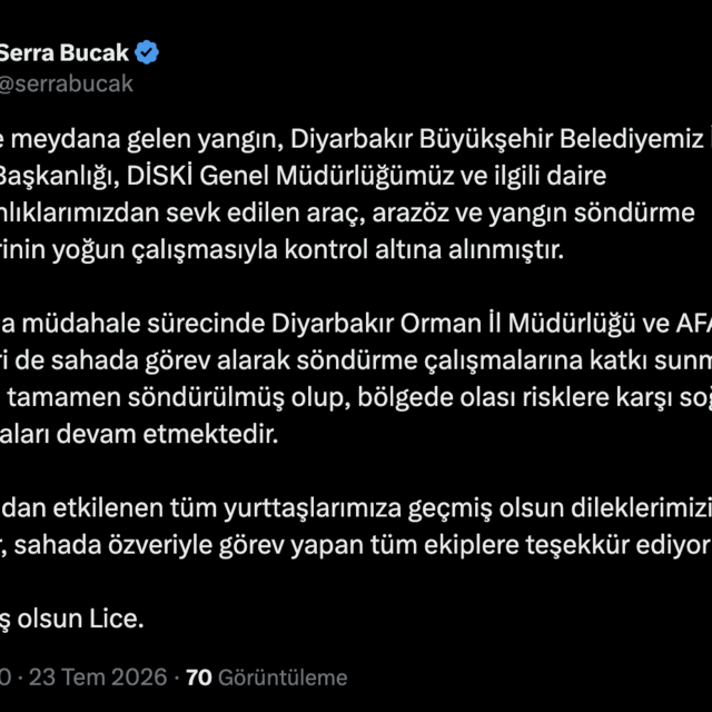 Diyarbakır'da örtü yangını; kontrol altına alındı (2)