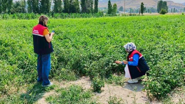 Tarım arazilerinin korunması çalışmaları sürüyor