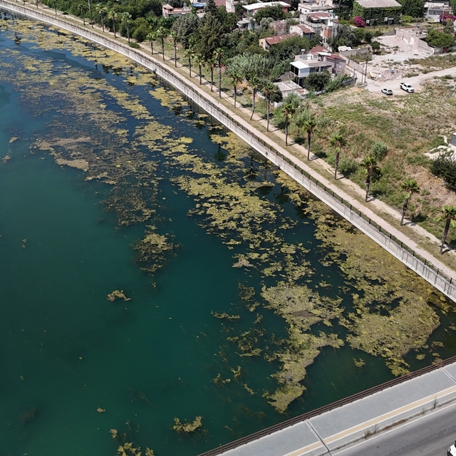 Seyhan Nehri kirliliğe teslim oldu, gönüllü genç sandalla temizliğe çıktı