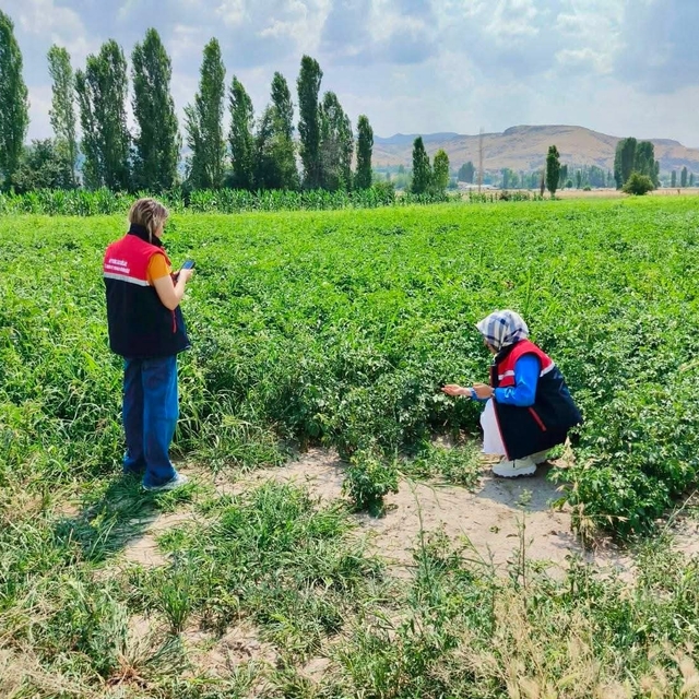Tarım arazilerinin korunması çalışmaları sürüyor