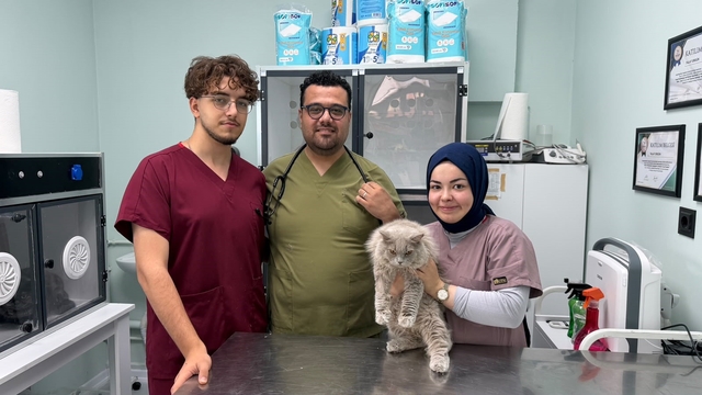 Veterinerde deprem etkisi yapan kedi Türkiye'nin gündeminde
Veteriner Talat Ergün; "7 yıldır bu mesleği yapıyorum ilk defa böyle bir şey gördüm"