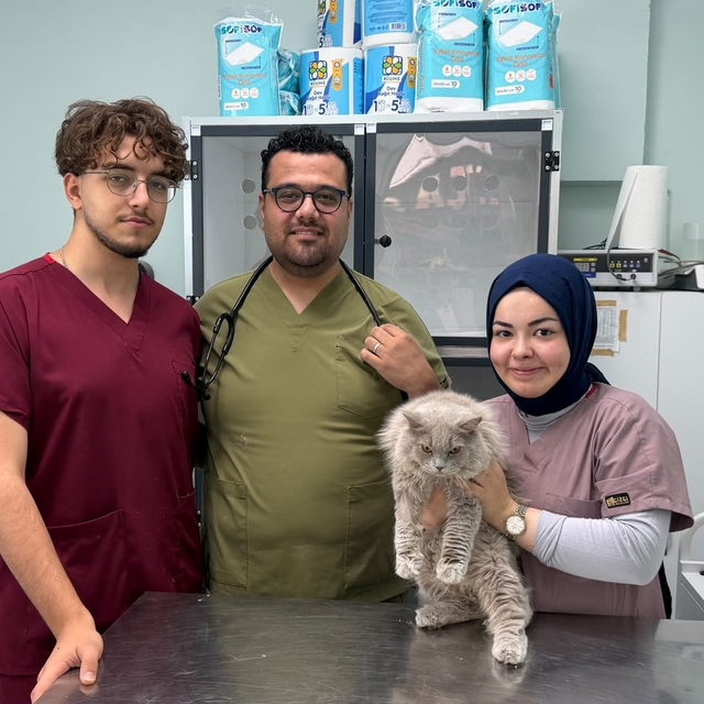 Veterinerde deprem etkisi yapan kedi Türkiye'nin gündeminde
Veteriner Talat...