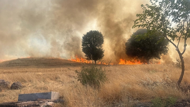 Trafo yangını ağaçlık alanı yok etti