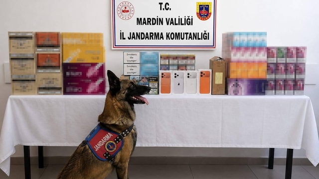 Mardin'de kaçak tütün operasyonunda 2 gözaltı
