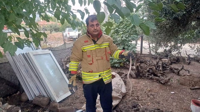 Hatay'da yerleşim alanlarında görülen yılanlar doğal yaşam alanına bırakıldı