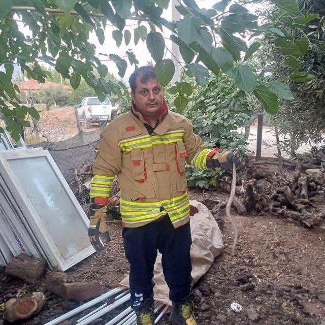 Hatay'da yerleşim alanlarında görülen yılanlar doğal yaşam alanına bırakıld...