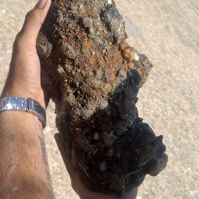 Çanakkale'de plajda patlamamış askeri mühimmat bulundu