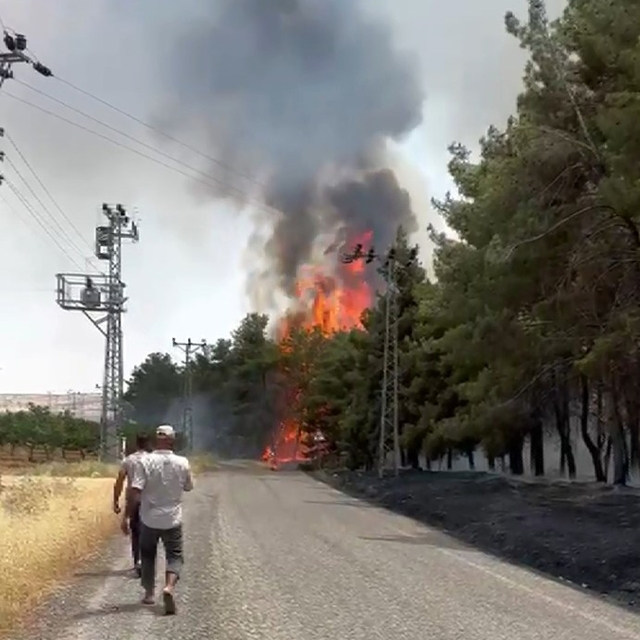 Gaziantep'te orman yangını
Ekipler yangına havadan ve karadan müdahale etti