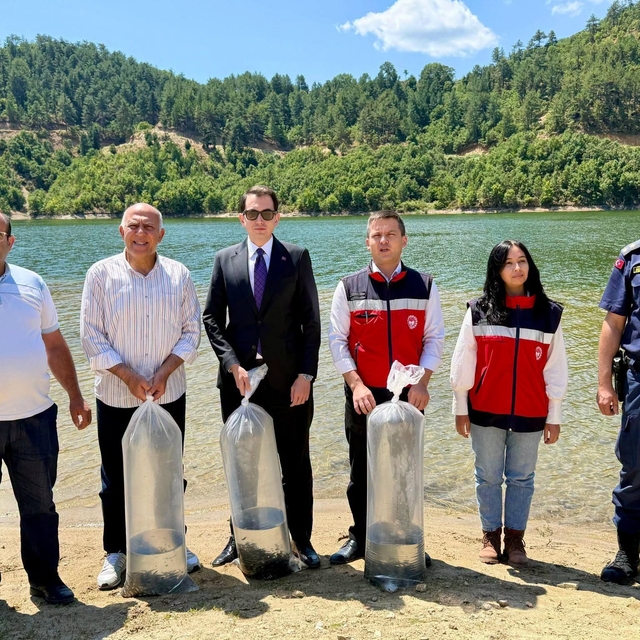 Hisarcık Hasanlar Barajı'na 80 bin sazan yavrusu bırakıldı