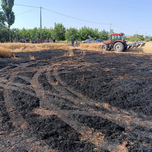 Elazığ'daki ekili tarlada çıkan yangın ekiplerce söndürüldü