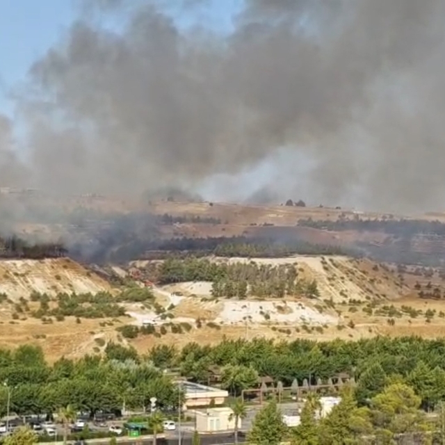 Şanlıurfa'da ormanlık alanda korkutan yangın